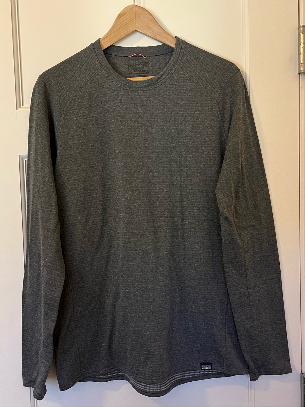 🏔️ Patagonia Capilene Thermal Weight Crew Men’s L/XLGray Polartec Baselayer FA2
